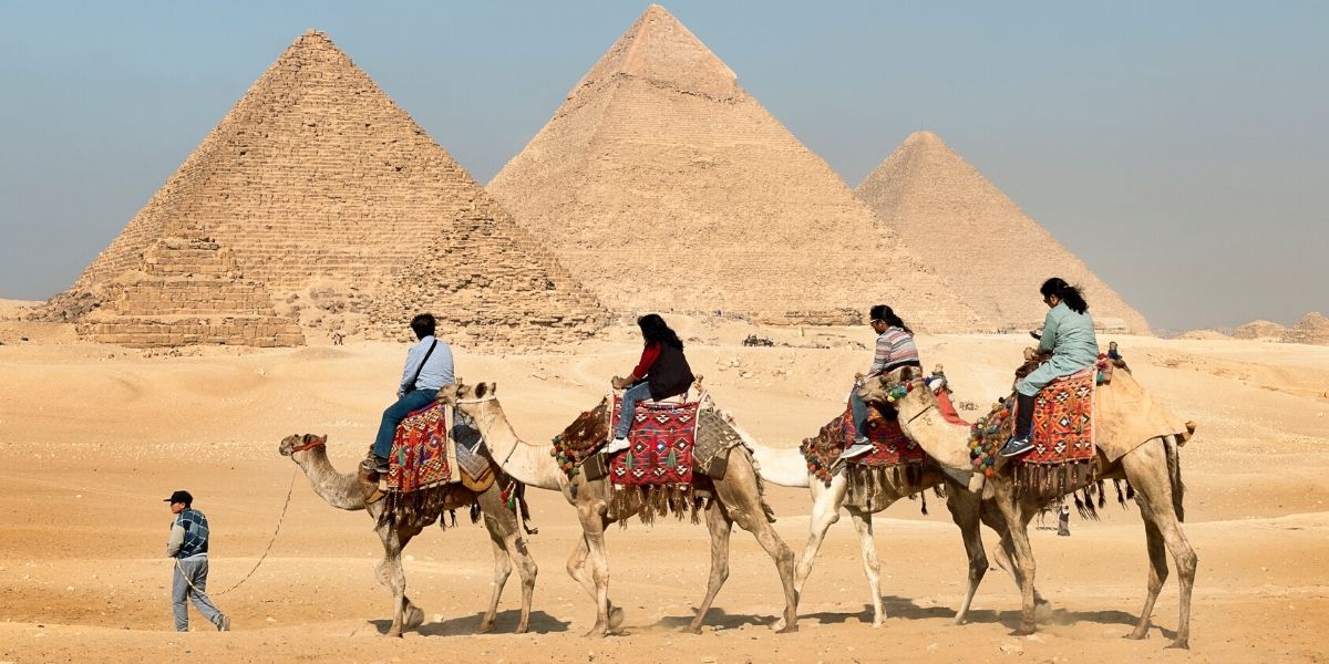 egipat 2023 jungle travel